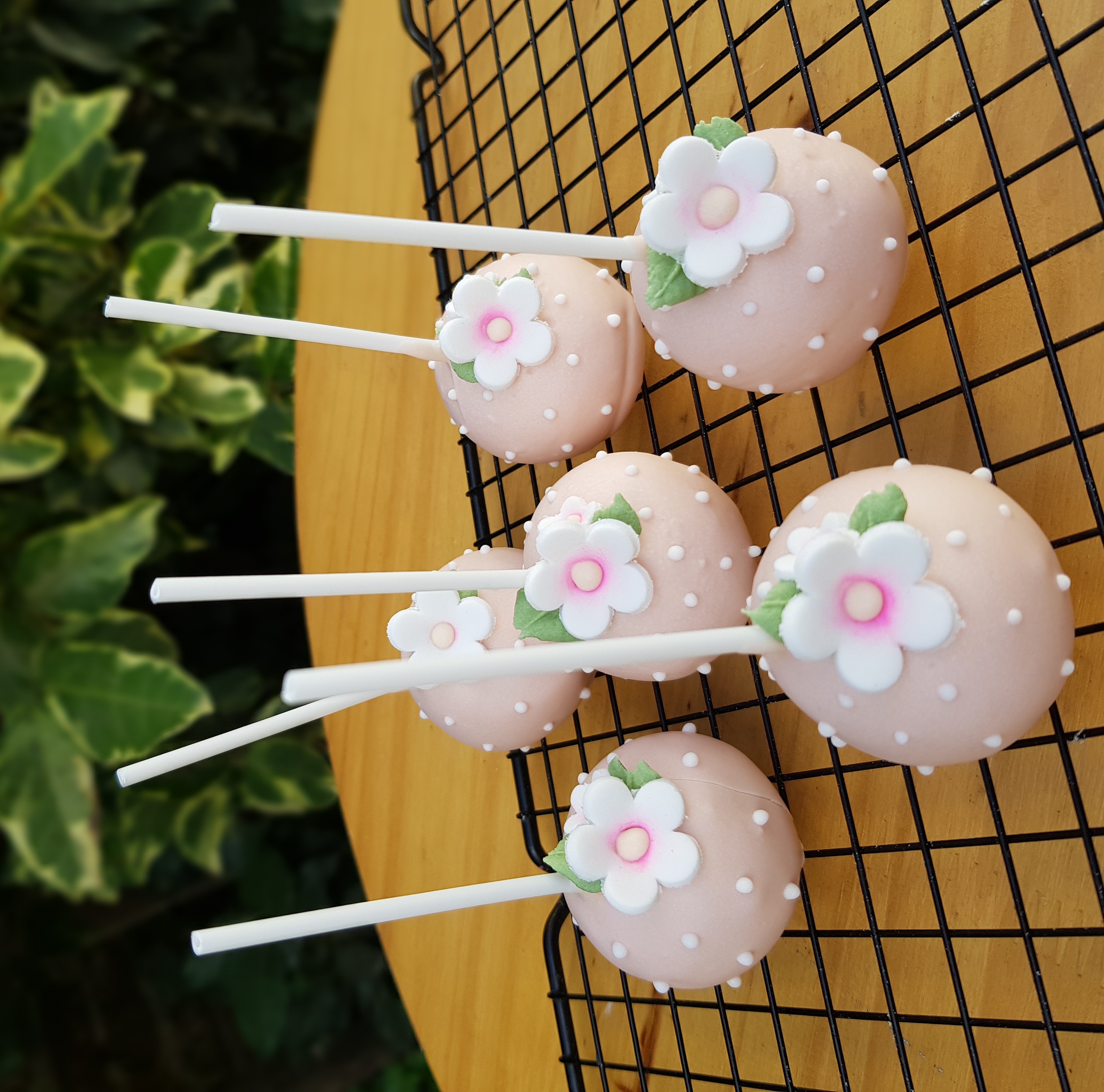 Cakepops